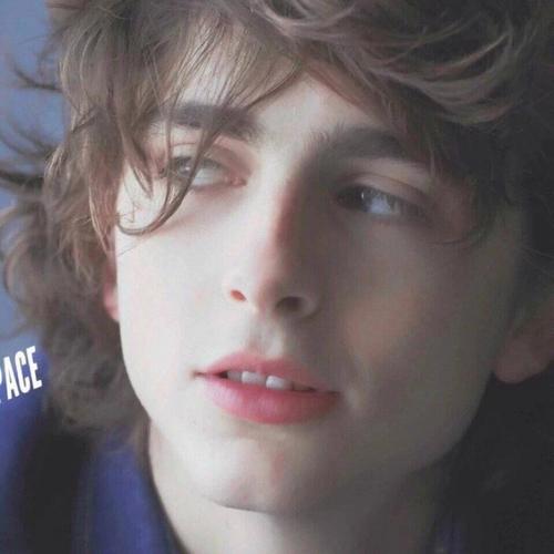 transfer009@Michael